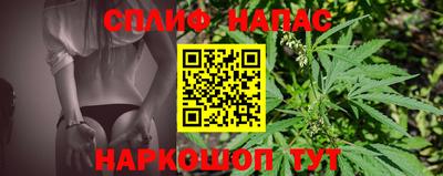 a pvp Будённовск