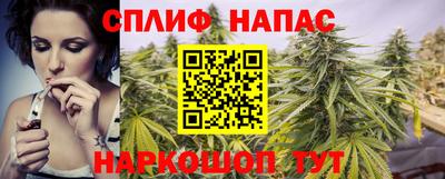 a pvp Будённовск