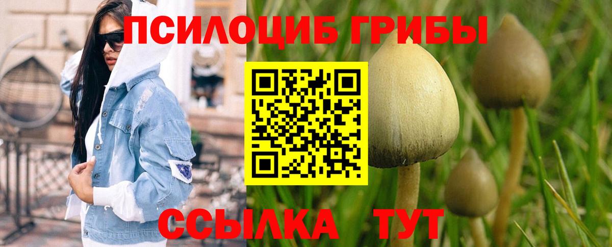 Псилоцибиновые грибы ЛСД Печора