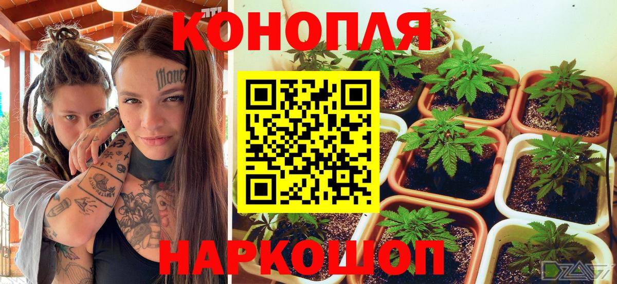 Каннабис Bruce Banner Печора